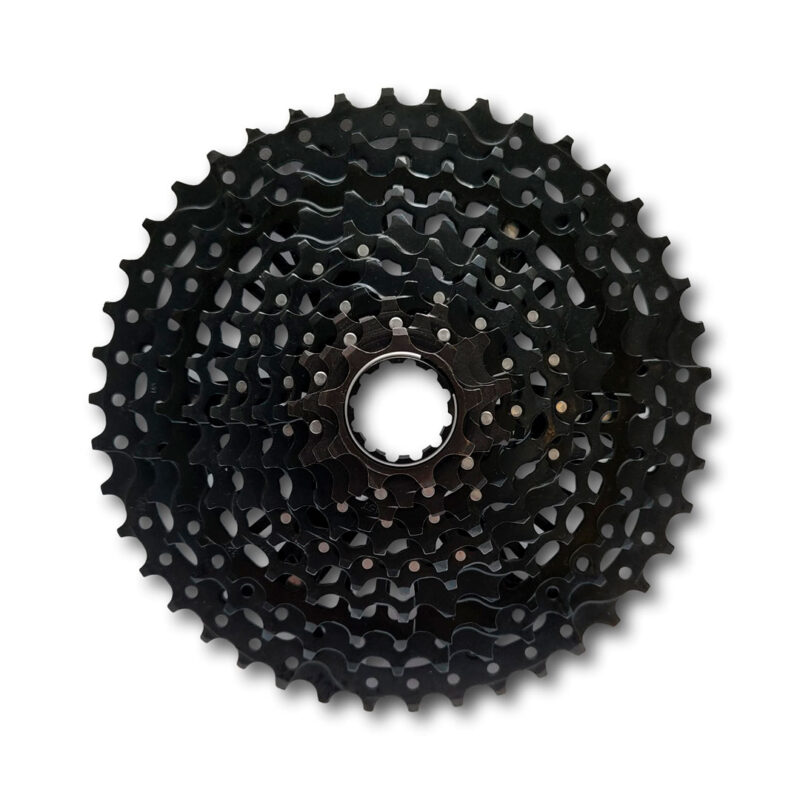 zrace alpha cassette